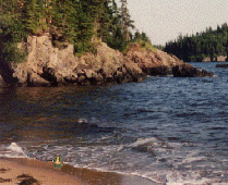 Buddy the Gourd on the Beach